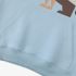 Lion Geometric Graphic Sky Blue Hoodie GM8804-254