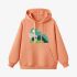 Frog Geometric Graphic Orange Color Hoodie GM8814-267