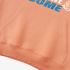 Fish Letter Orange Color Hoodie GM8814-278